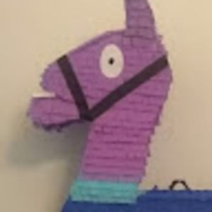 Meet your Posher, Saira